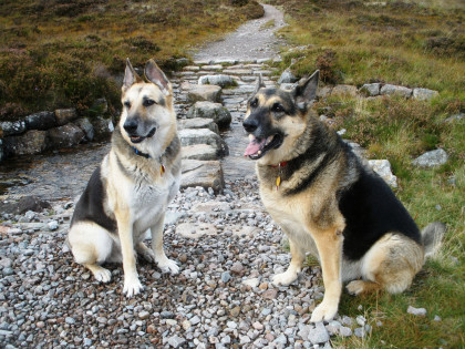 Jerry Lee and Holly in Glencoe, Scotland